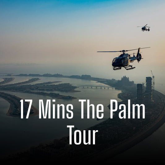 17 Mins The Palm Tour