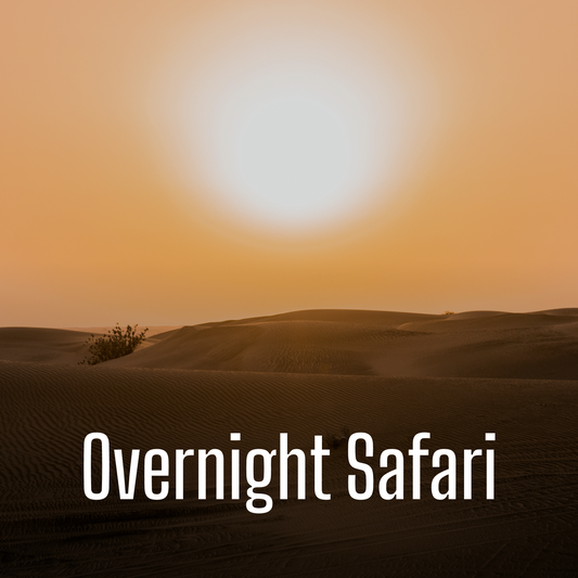 Overnight Safari