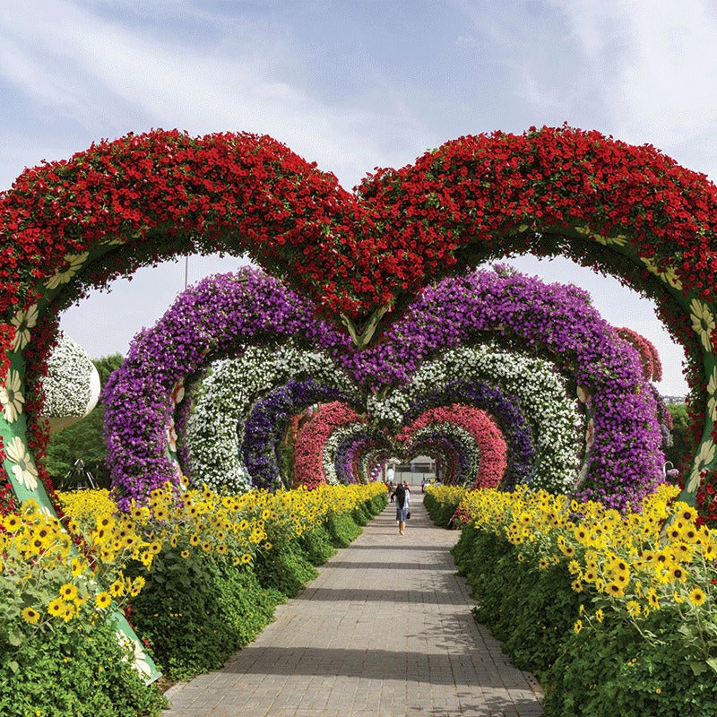 Dubai City Tour With Miracle Garden