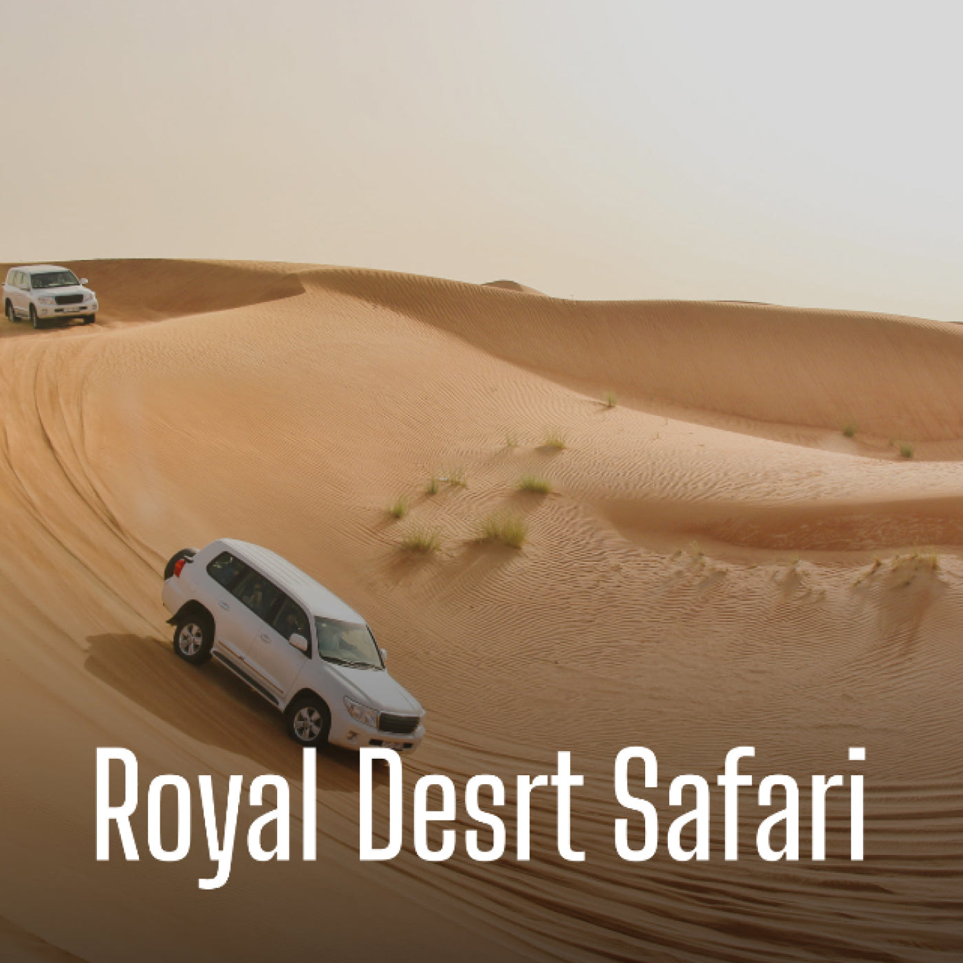Royal Desert Safari