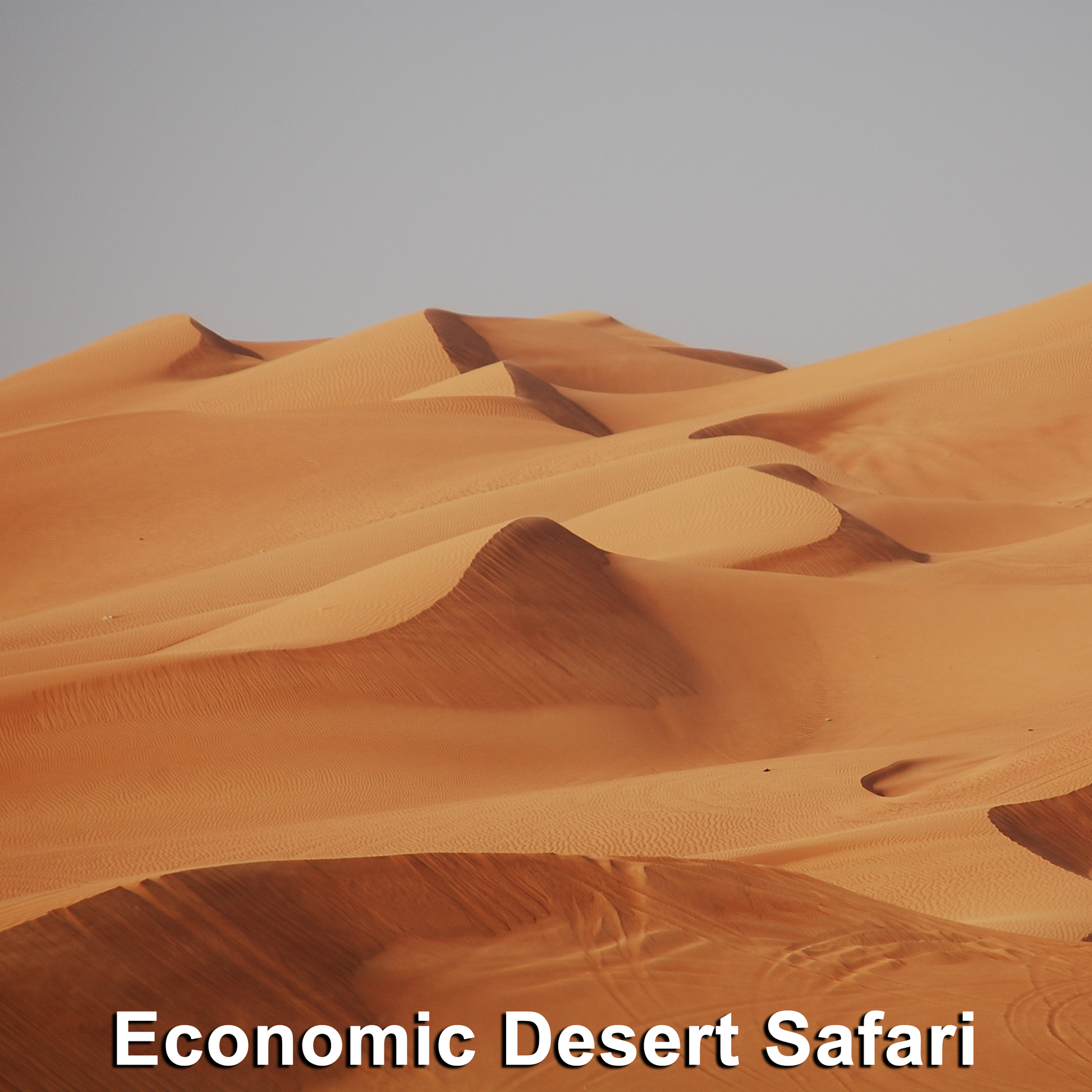 Economic Desert Safari